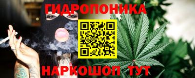 прущие грибы Чебаркуль