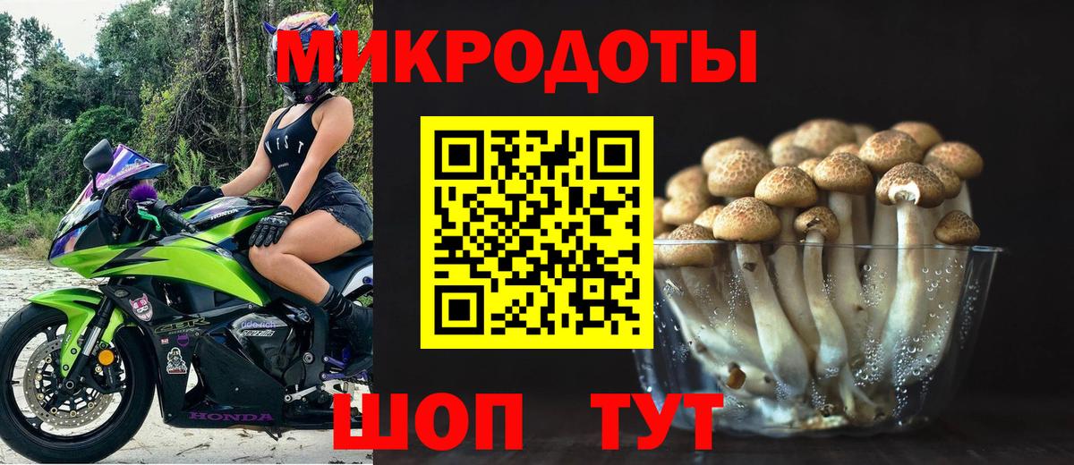 Псилоцибиновые грибы Cubensis Коряжма