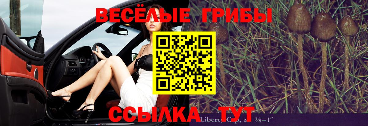 Коряжма  дарнет шоп  Вход с VPN  Псилоцибиновые грибы MAGIC MUSHROOMS  Галлюциногенные грибы Magic Shrooms 
